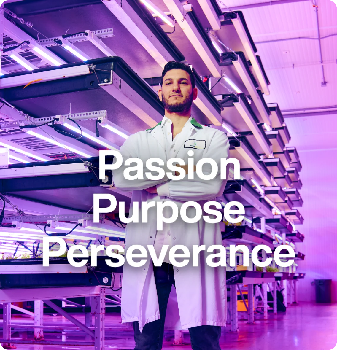 Georges Aczam standing in indoor hydroponic farm overlaid with words, “passion, purpose, perseverance”