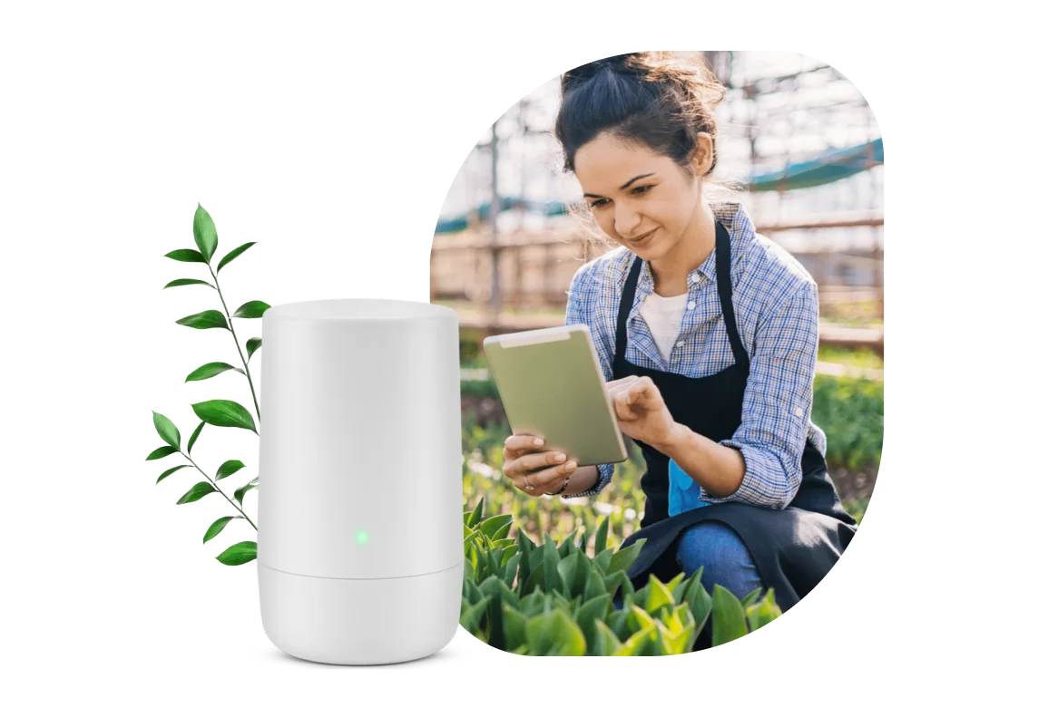 An individual using a tablet in a greenhouse. Next to this image is a TELUS Wi-Fi hub with foliage behind it.