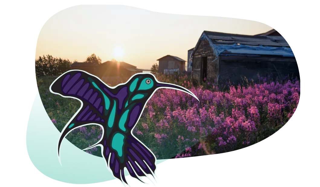 A house on an open field on Timiskaming First Nation. Overlapping the photo is artwork depicting a mockingbird. Photo by Pat Kane. Art by Kenneth Letander.