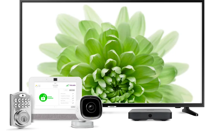 A TELUS bundle with TV, internet and security.